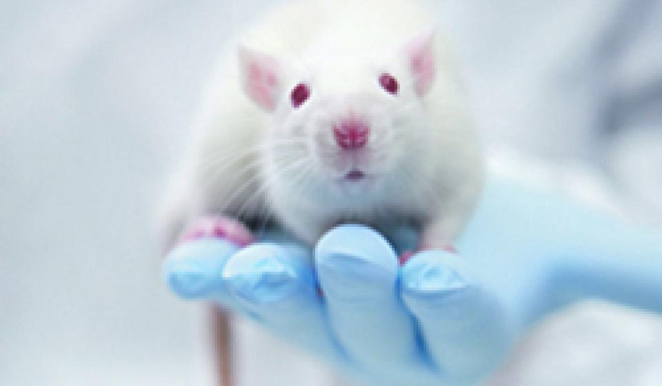 Watershed Sentinel - Environmental News | Environmental news, online ...