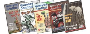five covers of the Watershed Sentinel