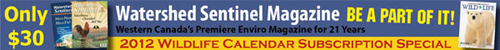 Banner ad for calendar special