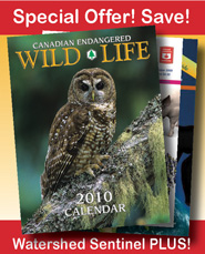 Special Calendar & Subscription Offer