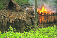 Land Grab in Guatemala